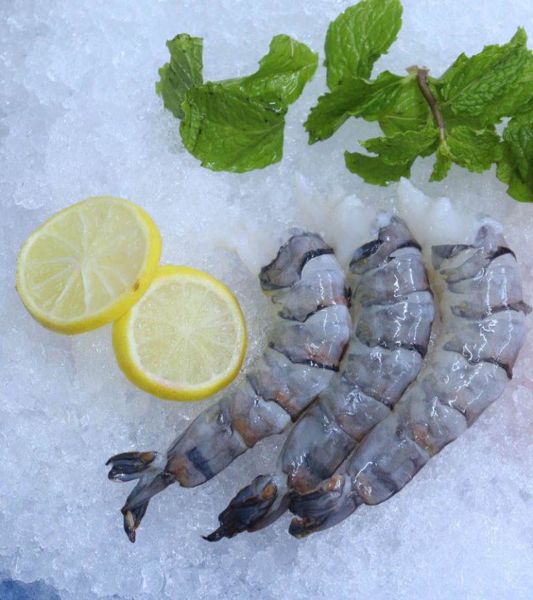 Vannamei HeadLess Shell On GAYATRI AQUA PRODUCTS PRIVATE LIMITED